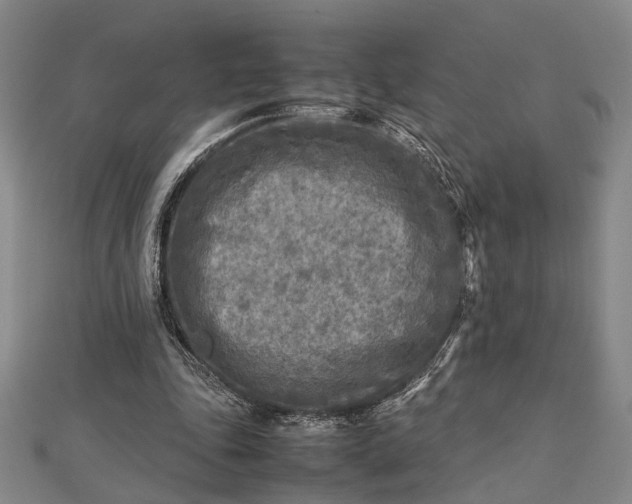 X0000112730343200909031449