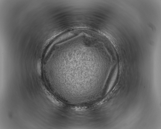 X0000112730345200909031449