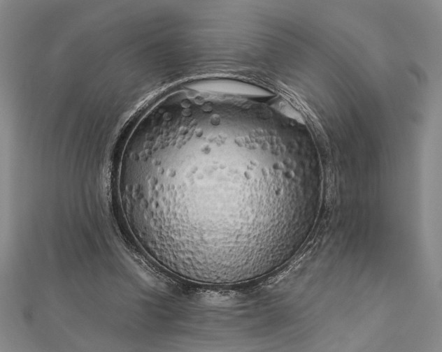 X0000112730346200909031449