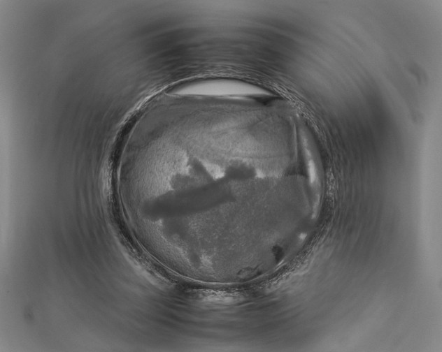 X0000112730347200909031449