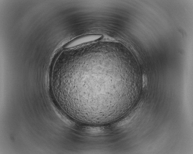 X0000112730349200909031449