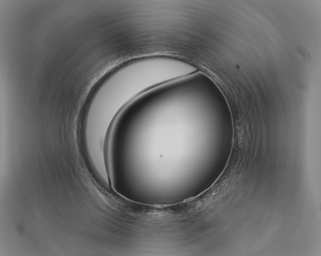 X0000112730350200909031449