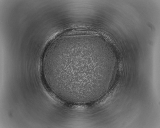 X0000112730352200909031449