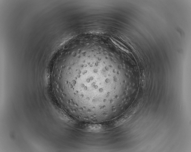 X0000112730355200909031450