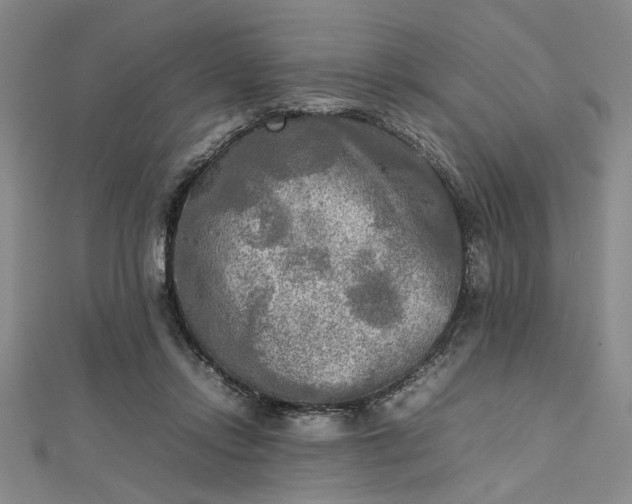 X0000112730358200909031450