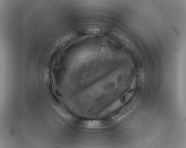 X0000112730361200909031450