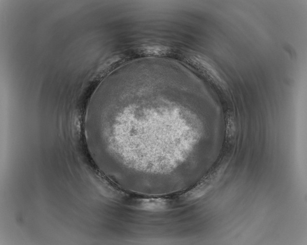 X0000112730363200909031450