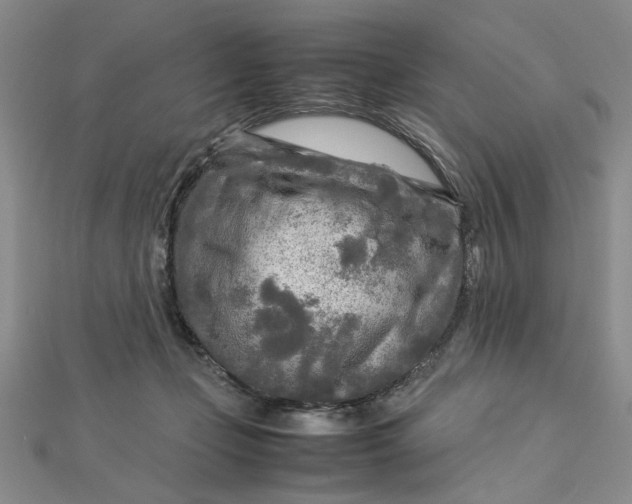 X0000112730365200909031450