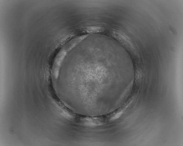 X0000112730367200909031450