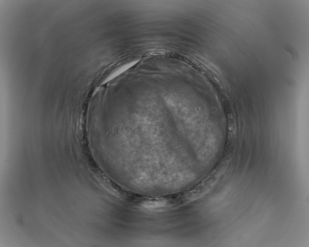 X0000112730369200909031450