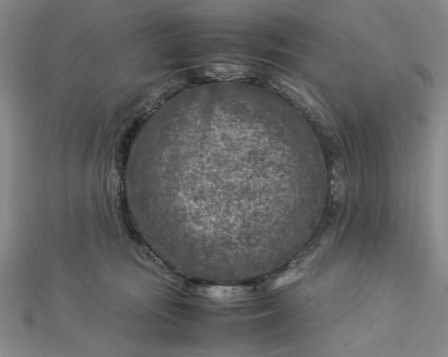 X0000112730371200909031450