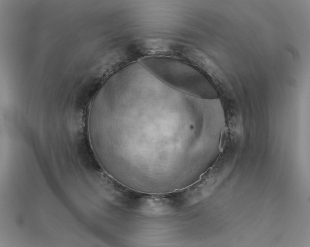 X0000112730372200909031450