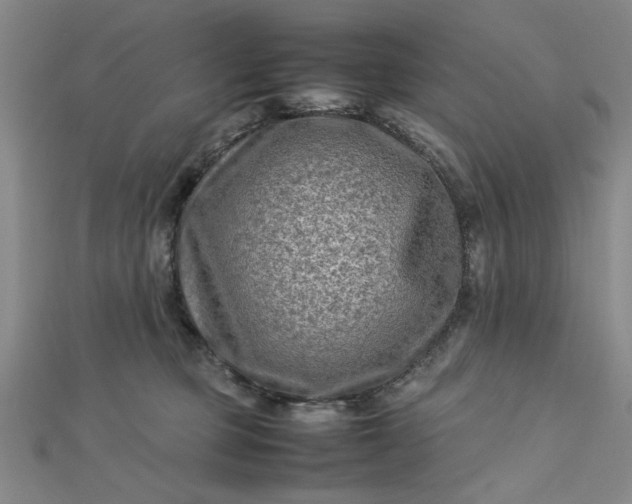 X0000112730373200909031450