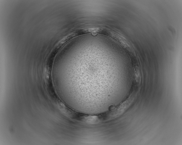 X0000112730374200909031450