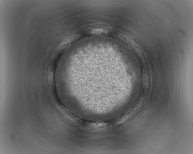 X0000112730375200909031450