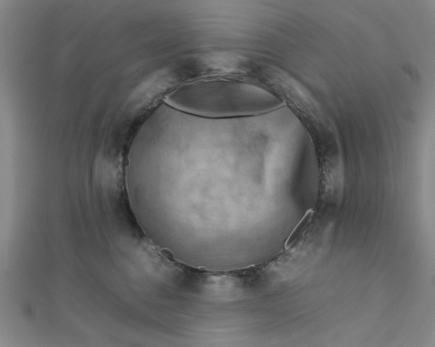 X0000112730376200909031450