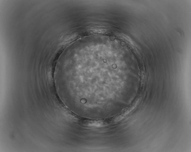 X0000112730377200909031450