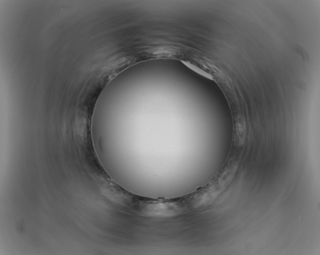 X0000112730379200909031450