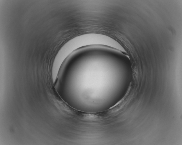 X0000112730380200909031450