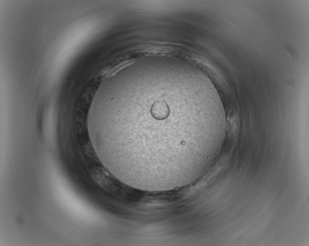 X0000112730381200909031450