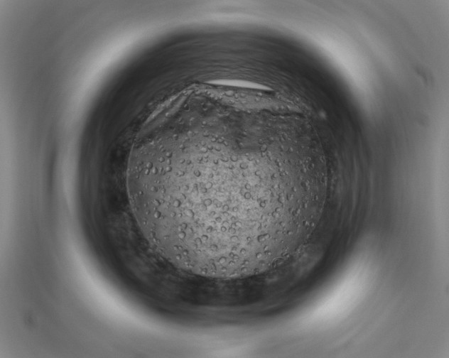 X0000112730383200909031450