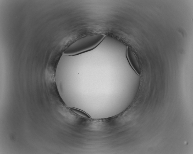 X0000112730384200909031450