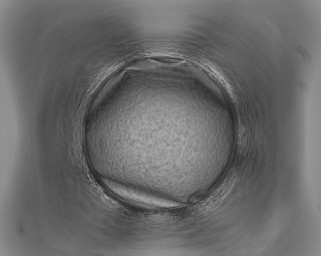 X0000112730385200909031449