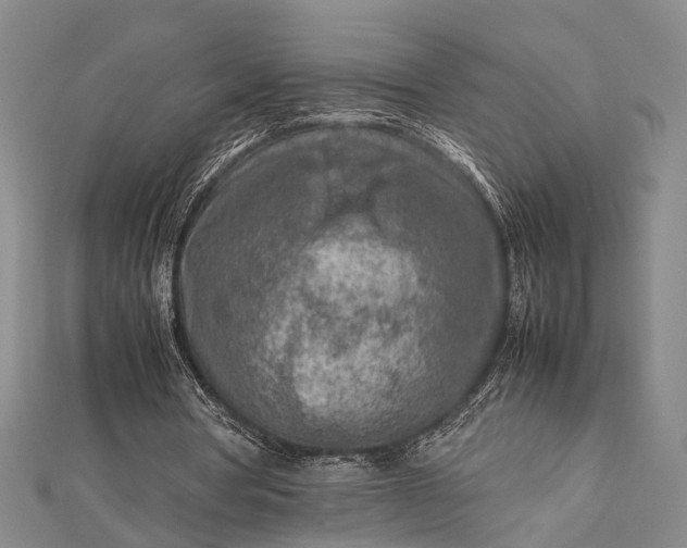 X0000112730386200909031449