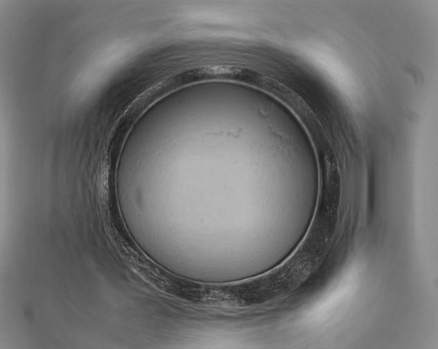 X0000112730387200909031449