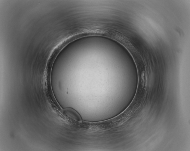 X0000112730388200909031449