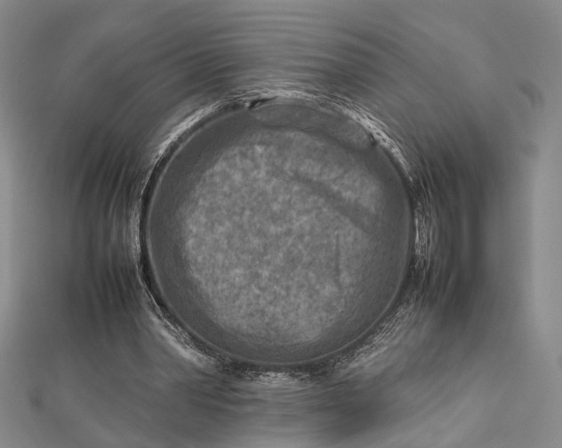 X0000112730390200909031449