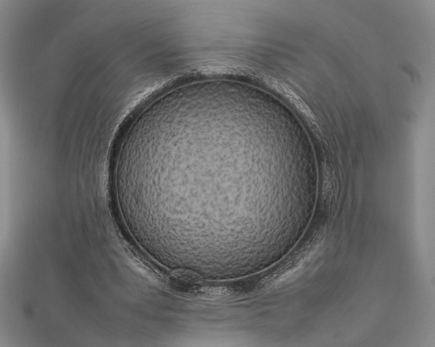 X0000112730391200909031449