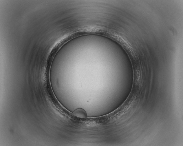 X0000112730392200909031449