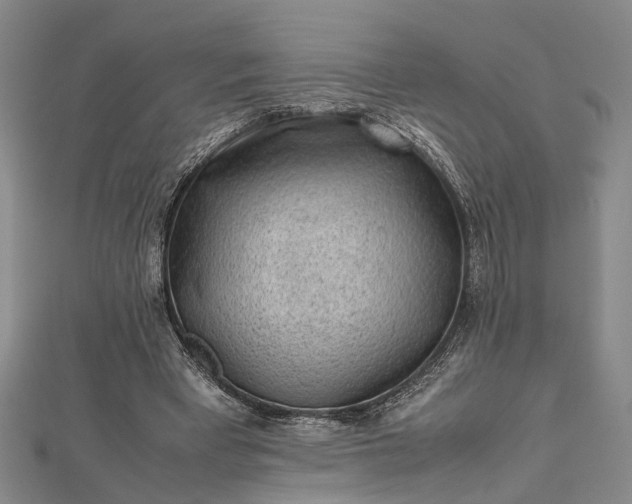 X0000112730393200909031449