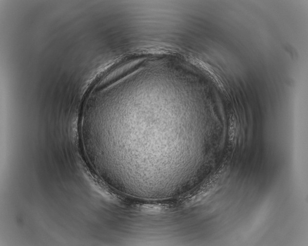 X0000112730394200909031449