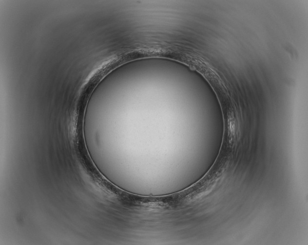 X0000112730396200909031449