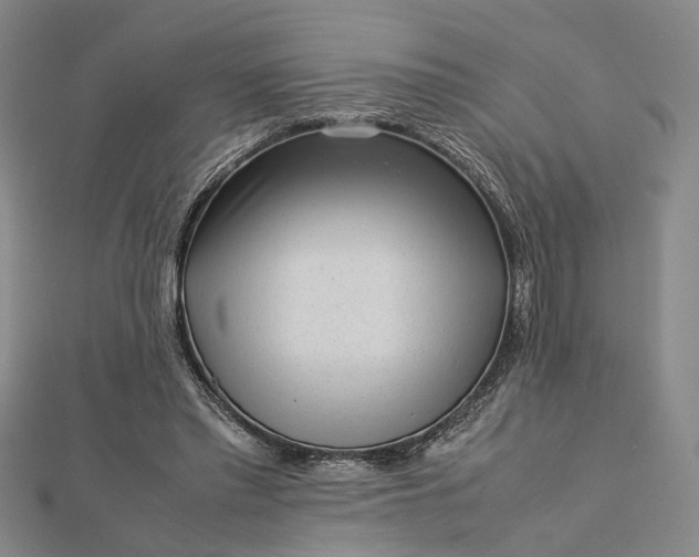 X0000112730397200909031449