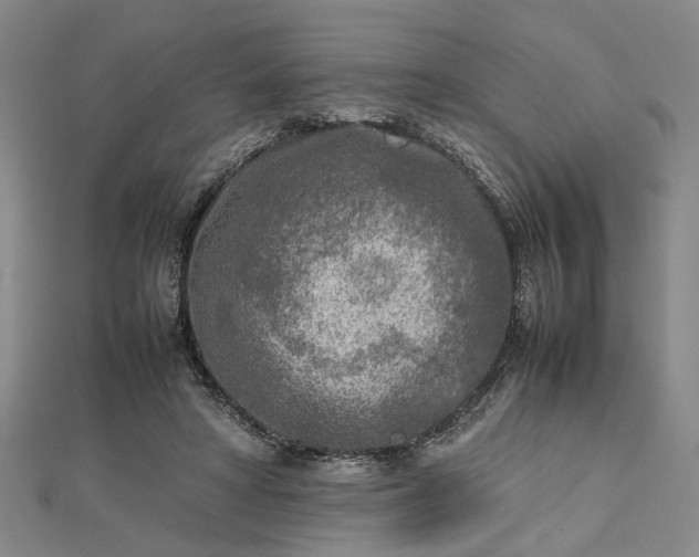 X0000112730402200909031449