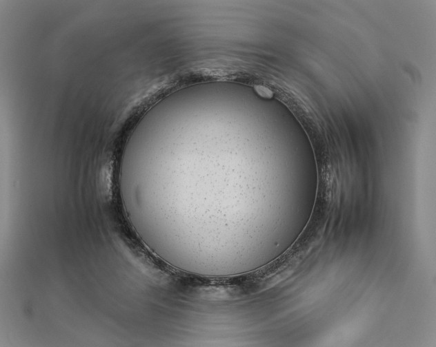 X0000112730404200909031449