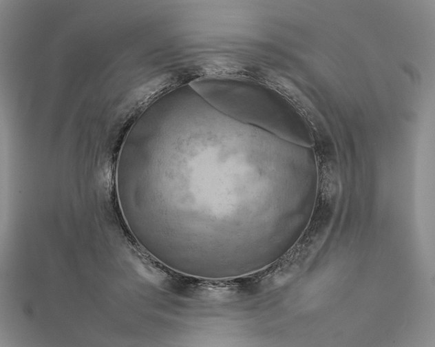 X0000112730405200909031449