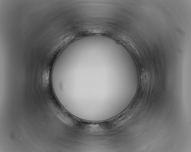 X0000112730406200909031449