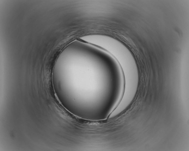 X0000112730409200909031449