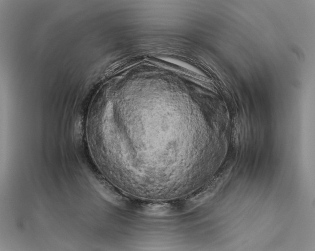 X0000112730410200909031449