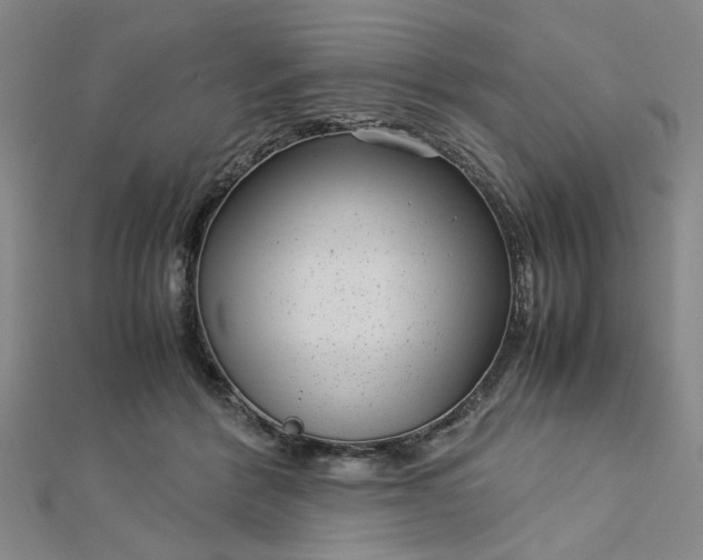 X0000112730412200909031449