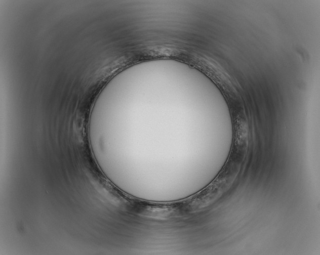 X0000112730414200909031449