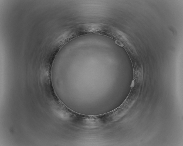 X0000112730415200909031449