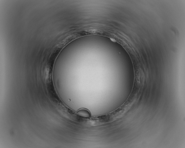 X0000112730420200909031449