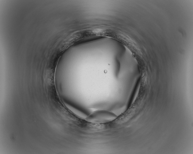 X0000112730421200909031449