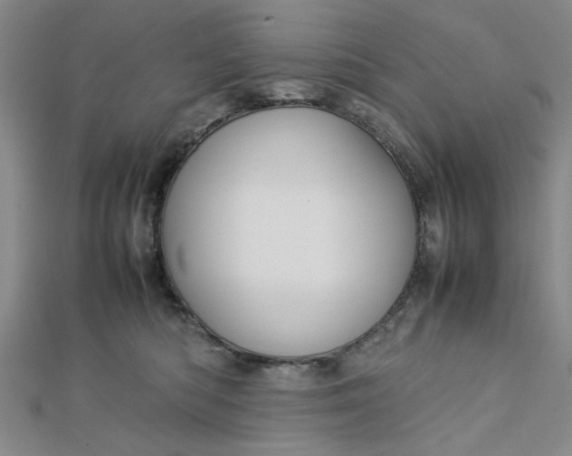 X0000112730422200909031449