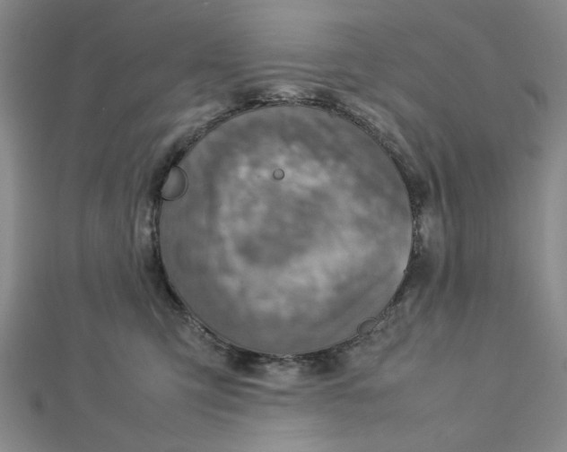 X0000112730423200909031449